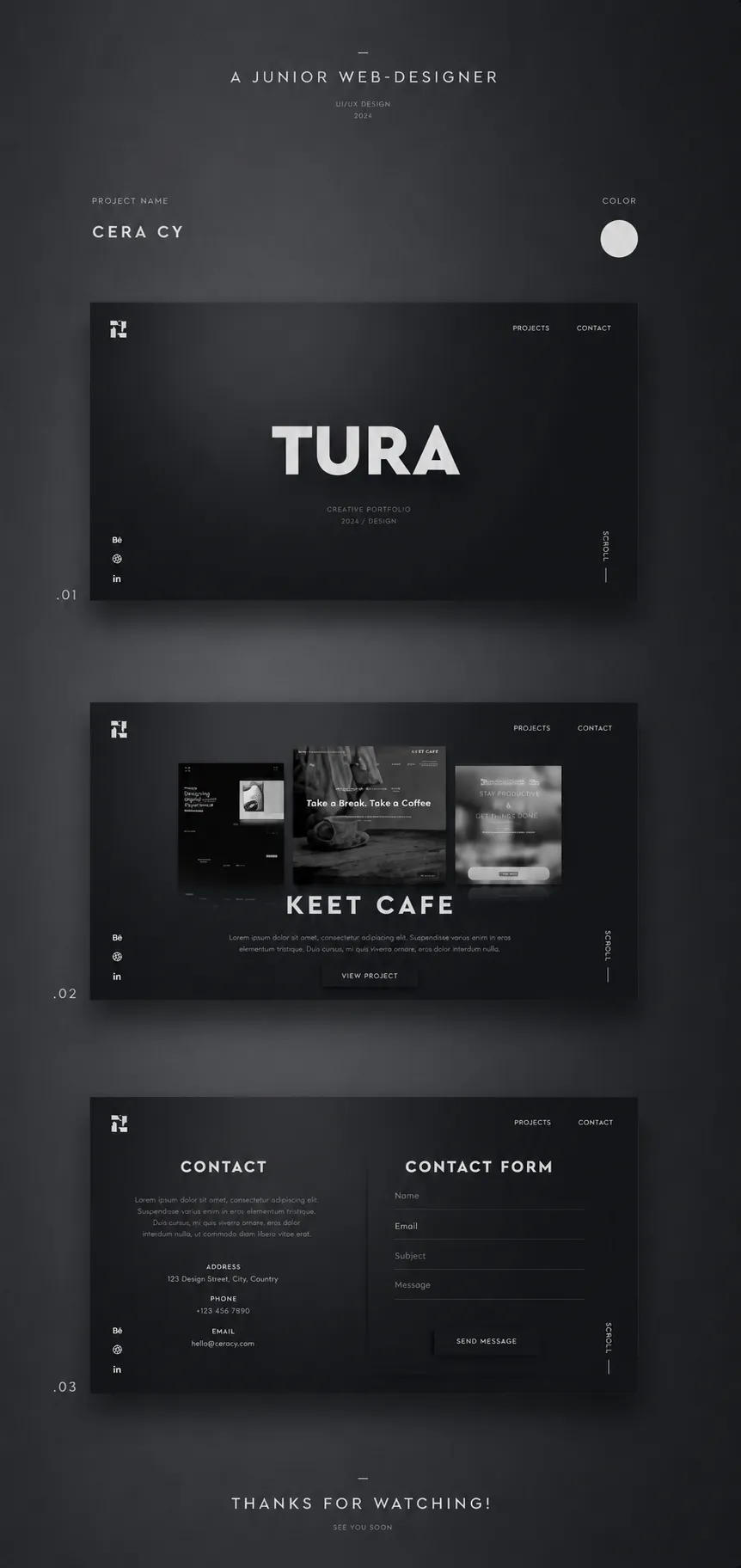 Website Development 3